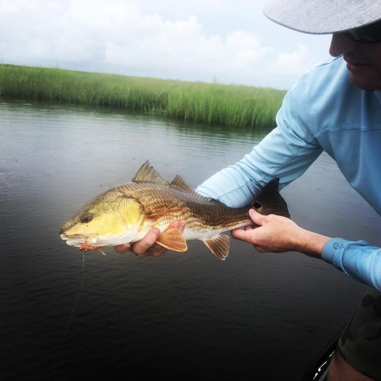 RED dead redemption in NOLA last weekend. Red fish are stunning! 
Check out our