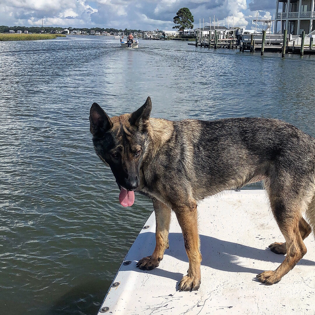 Just hanging on the water with my best friend for Labor Day.