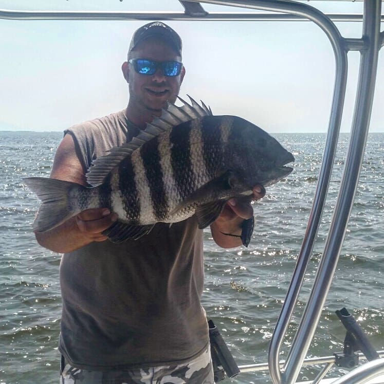 Some more sheepshead hiatus from our end of summer vacation! OBX!