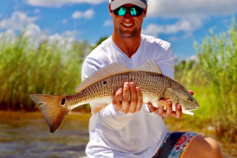 One of the slot red fish from today, afternoon bite was not bad at all! A lot mo