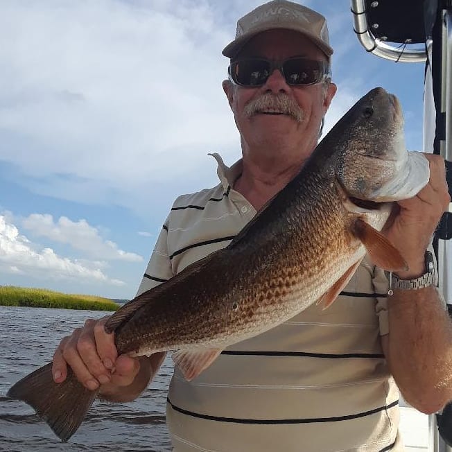 Keeper Redfish and a few Flounder on this morning’s trip!