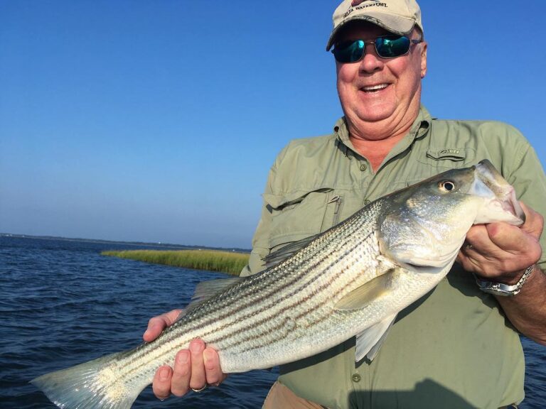 The only way to start the day… Blue skies & Striped Bass on topwater.