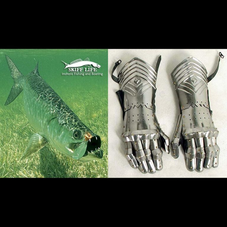 **BREAKING NEWS** Scientists are finding an increase in tarpon displaying a rare…