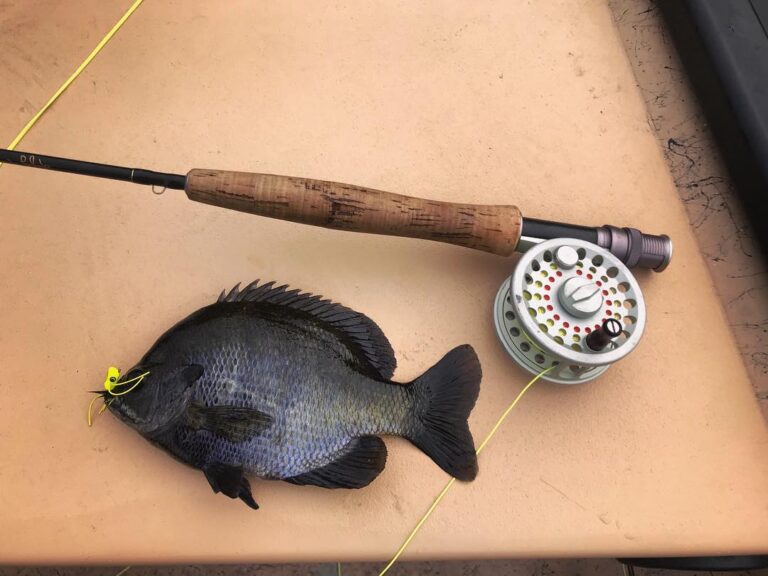 Poppers+3wt+bream= Happy!