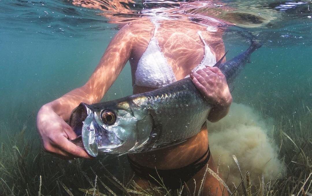 Tarpon Tuesday   Love the clear water and healthy sea grass.