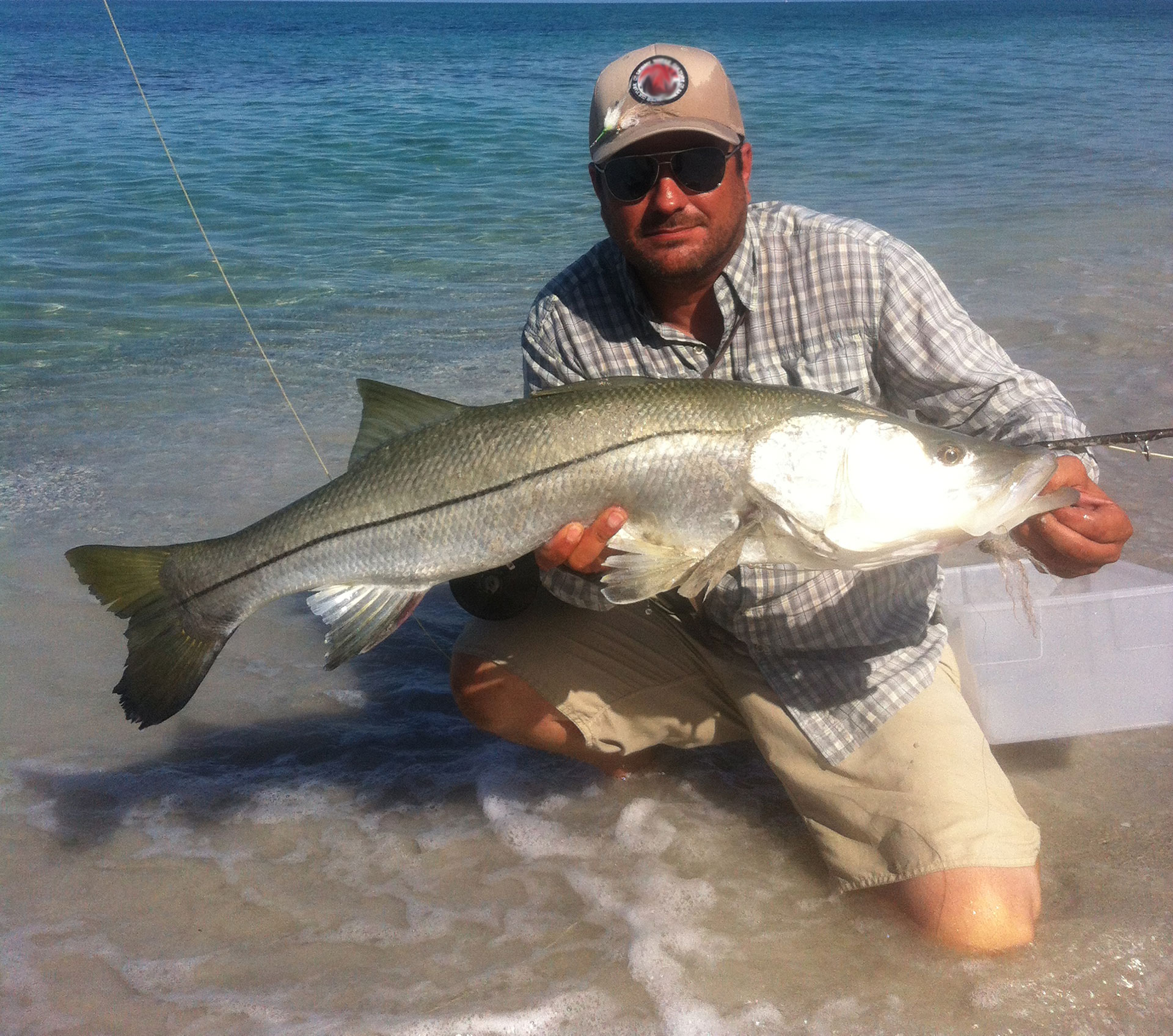 snook fishing in summer