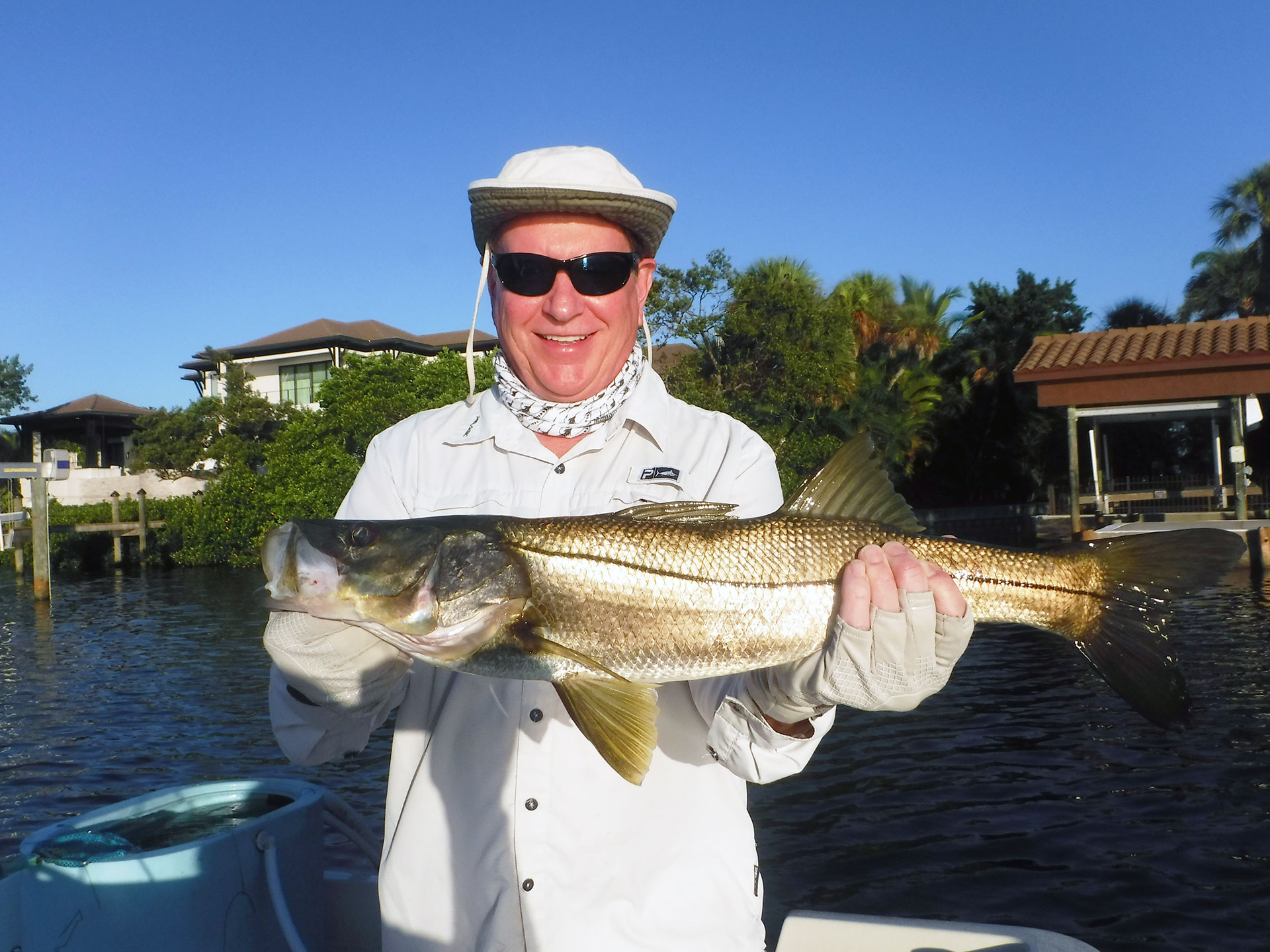 snook fish