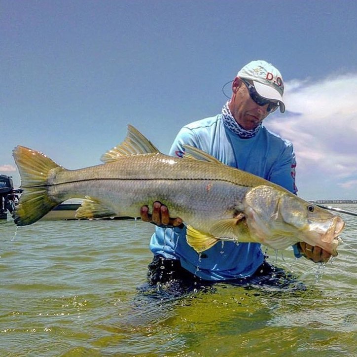 Awesome snook