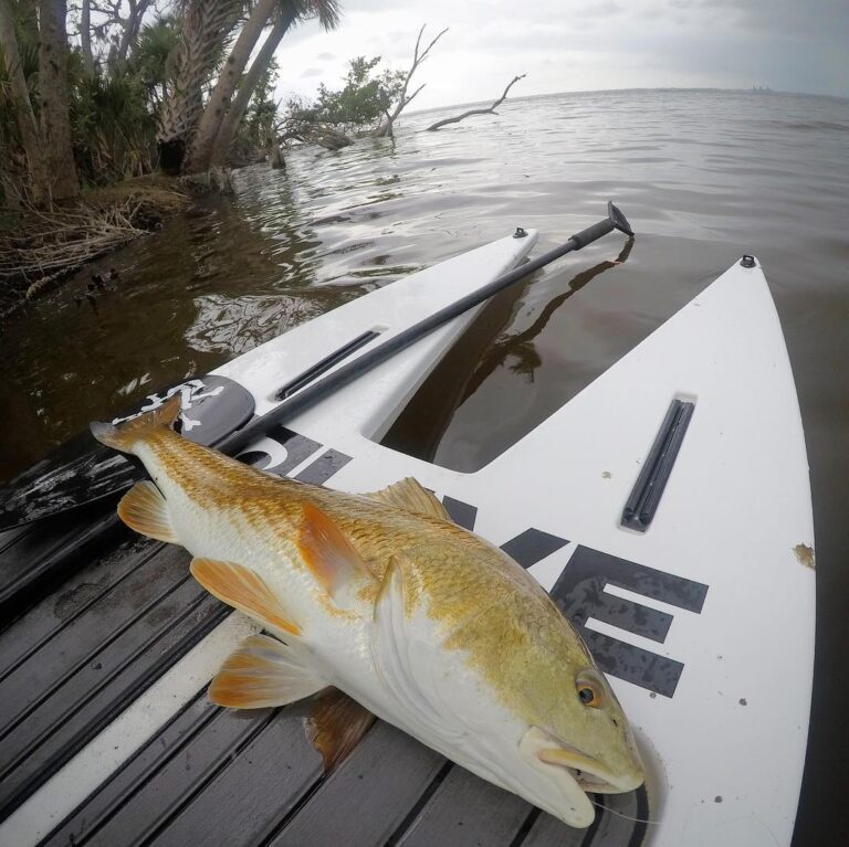 Those stormy summer day redfish tailers