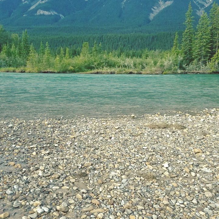 The bow river is spectacular.