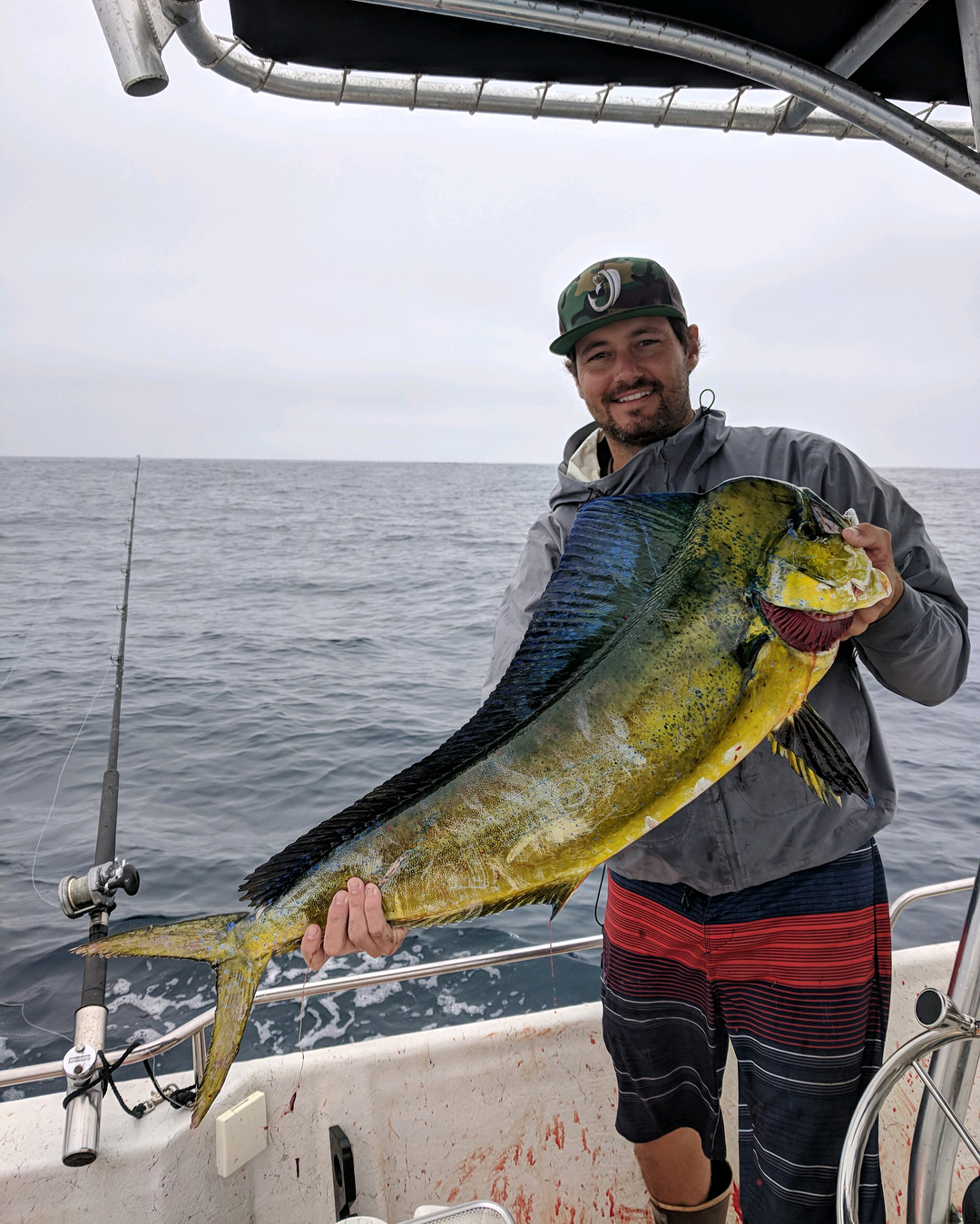 The dorado put on quite a show yesterday.