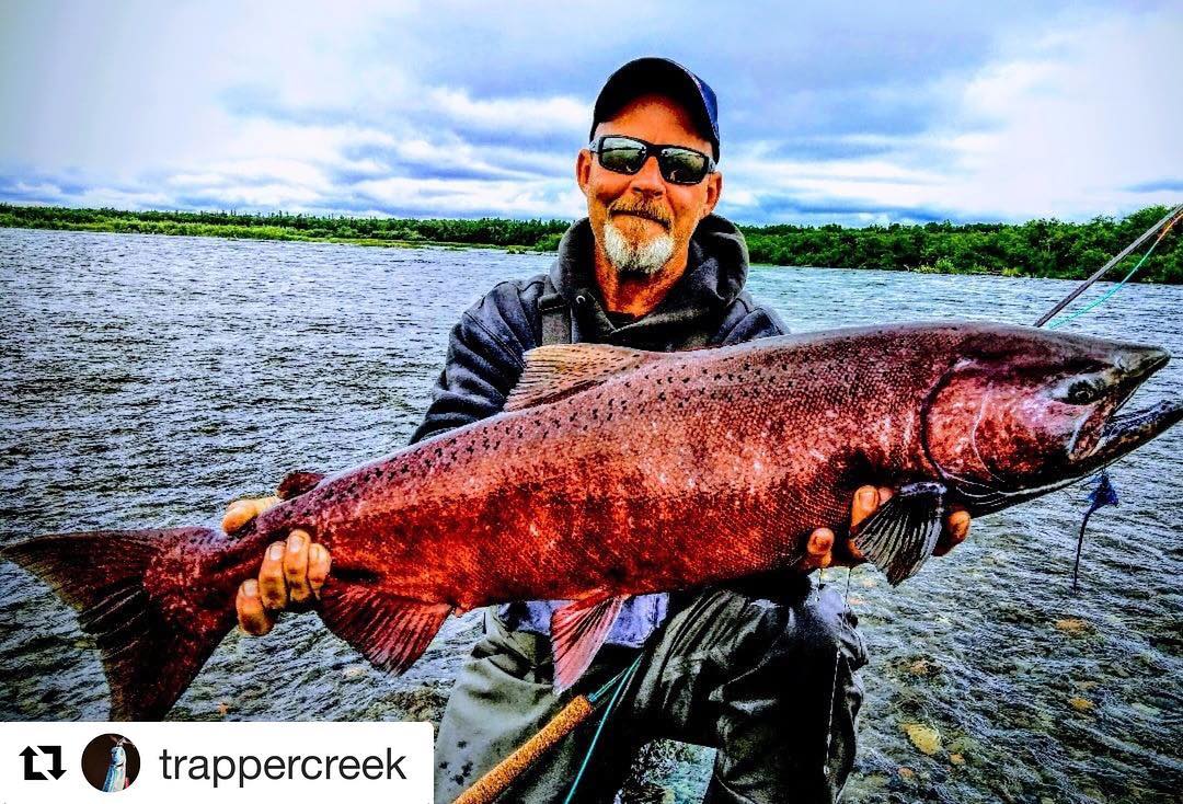 Alaskan KING Salmon caught on one of our 13’6” 9wt builds! •
•
•