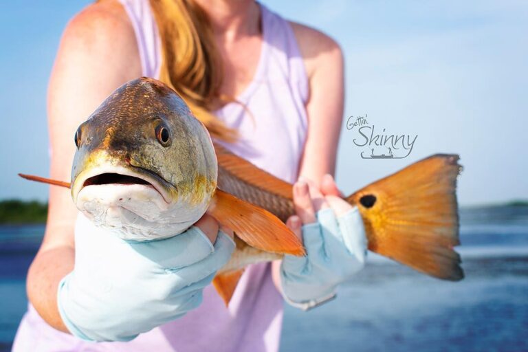 Nice slot redfish!