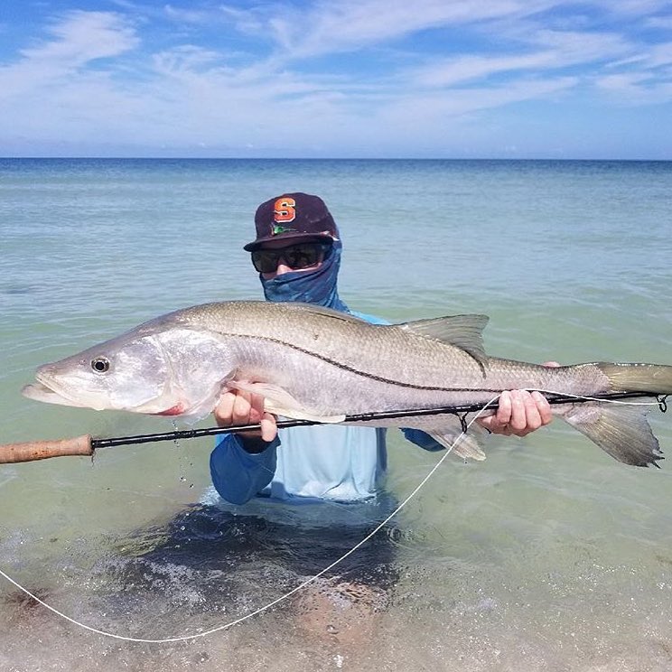 Awesome snook on the fly