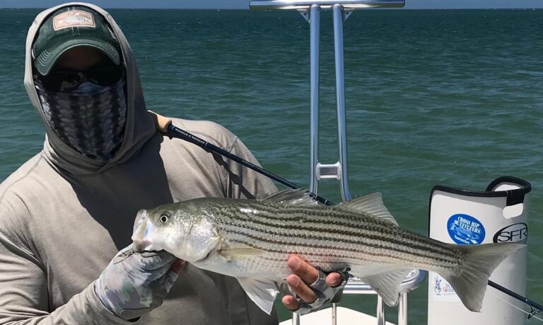 Striper Skiff Life Edition