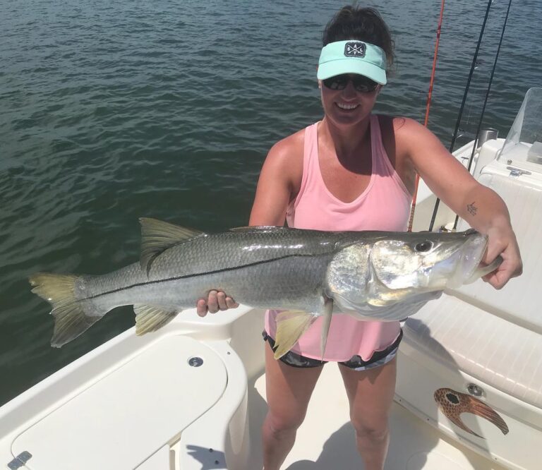 One of many nice snook yesterday!