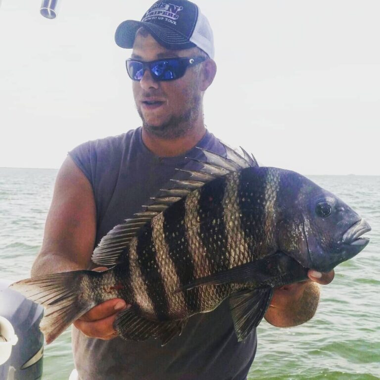 Absolutely love catching sheepshead!