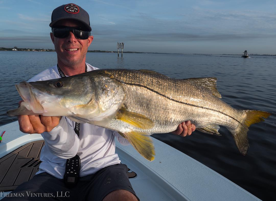 Big snook in trafficfrom Saturday morning on the  jig and    combo  for
.
.