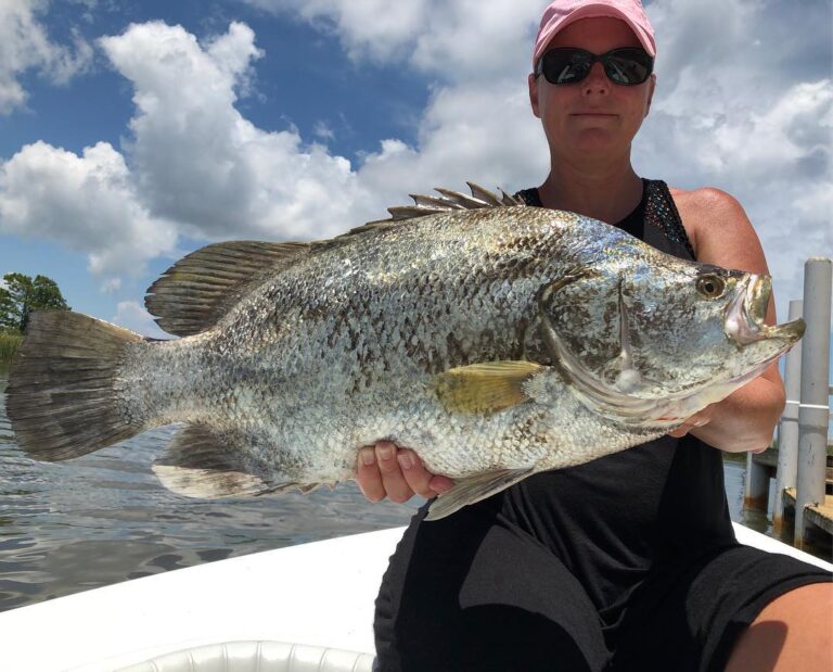 Heather’s 15# Tripletail