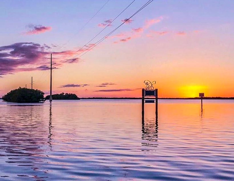 This is one of my all time favorite places, Pine Island, Florida! Amazing scener