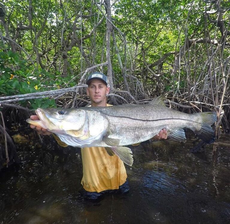 Now that’s a snook  @ryannitz