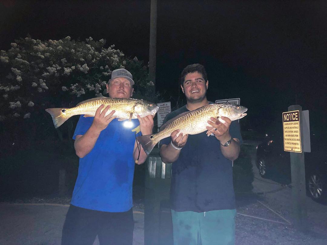 Pow! Lucky to catch and release 15 of these drag-buster’s last night in the last