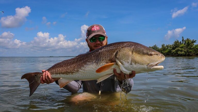 Redfish on ‘Roids!