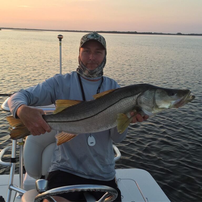 Sunrise stud snook on the  dog walker