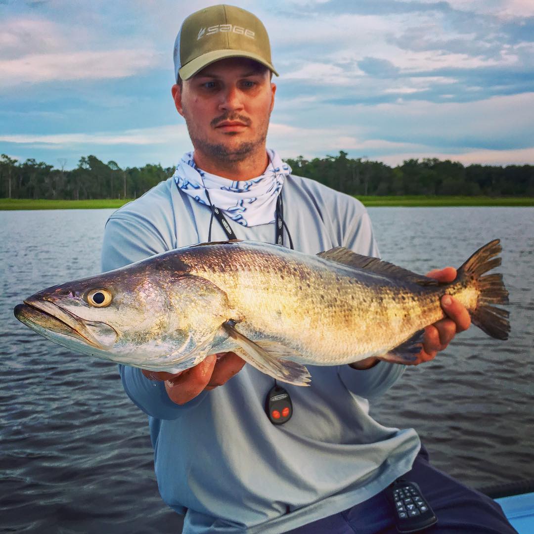 Who would like to land a trout this size? 
 landed this fat girl last night duri