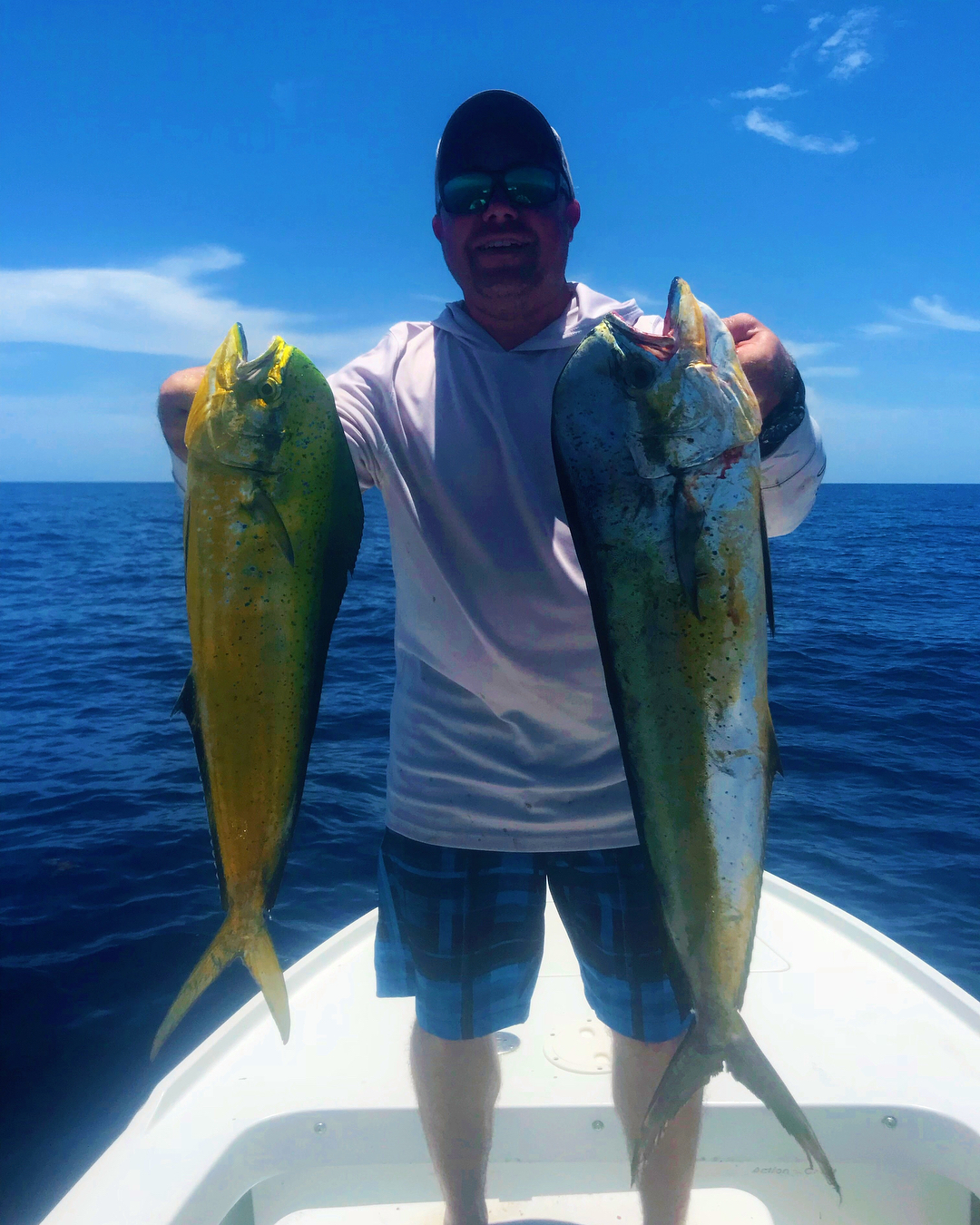 Filled the box in the skiff today gotta love  15 mahi in 3 hours!