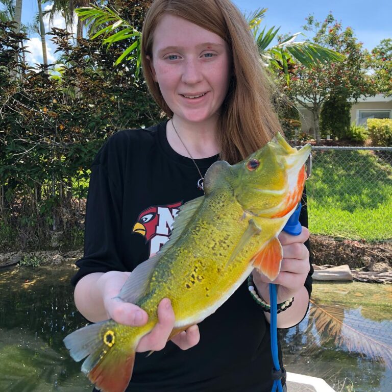 Awesome Peacock Bass!