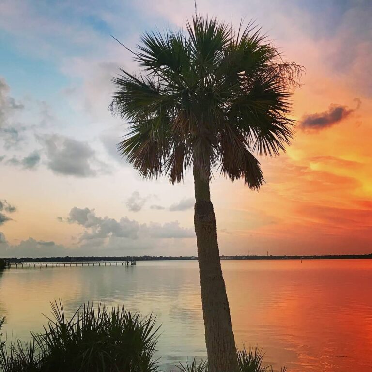 Safety Harbor FL,  it’s beautiful!