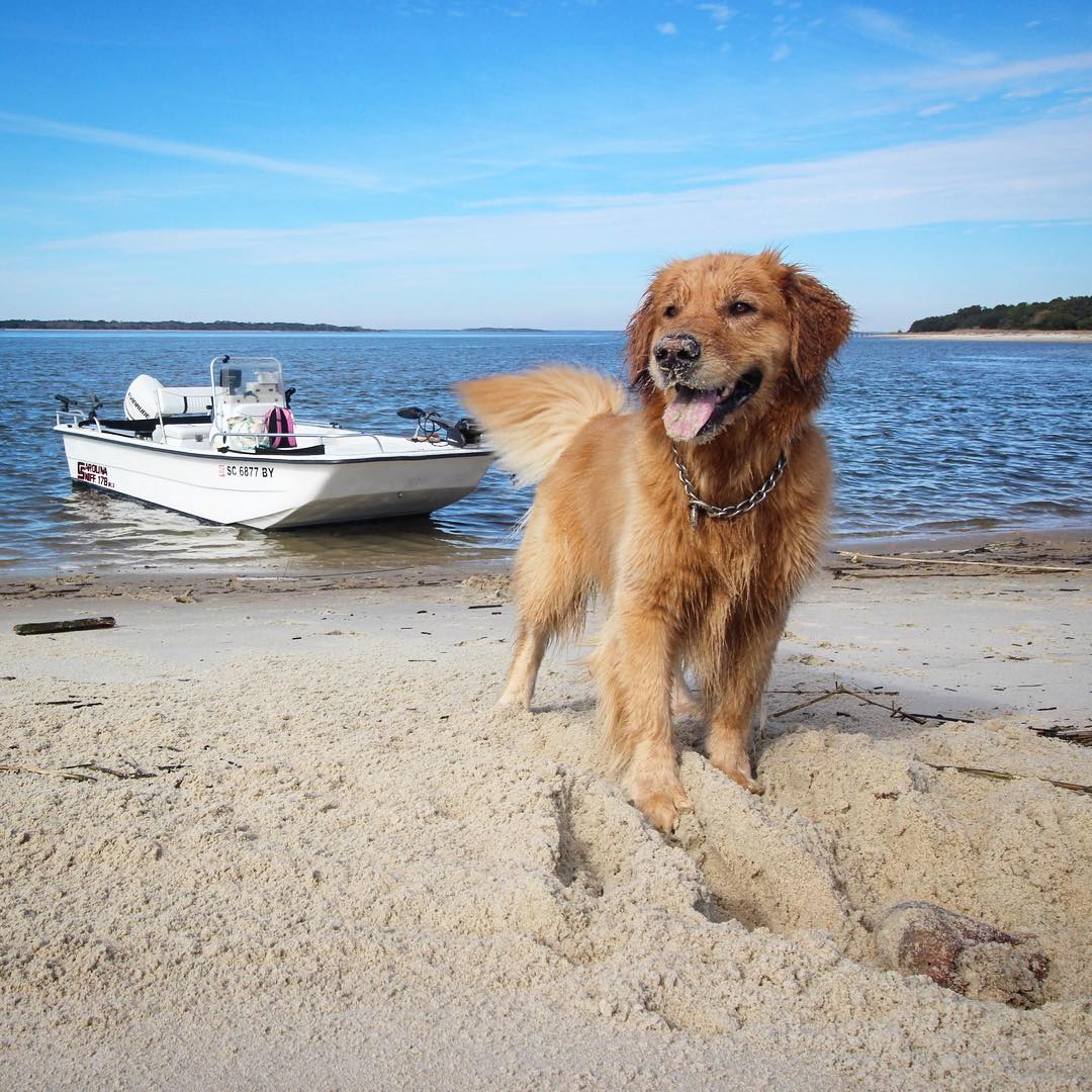 Just a  Living his best life  .
.
.
 .
.
.
.
.
.
.
.
.
.
.
.
.
.
.
.
.
.
.
.
.
.