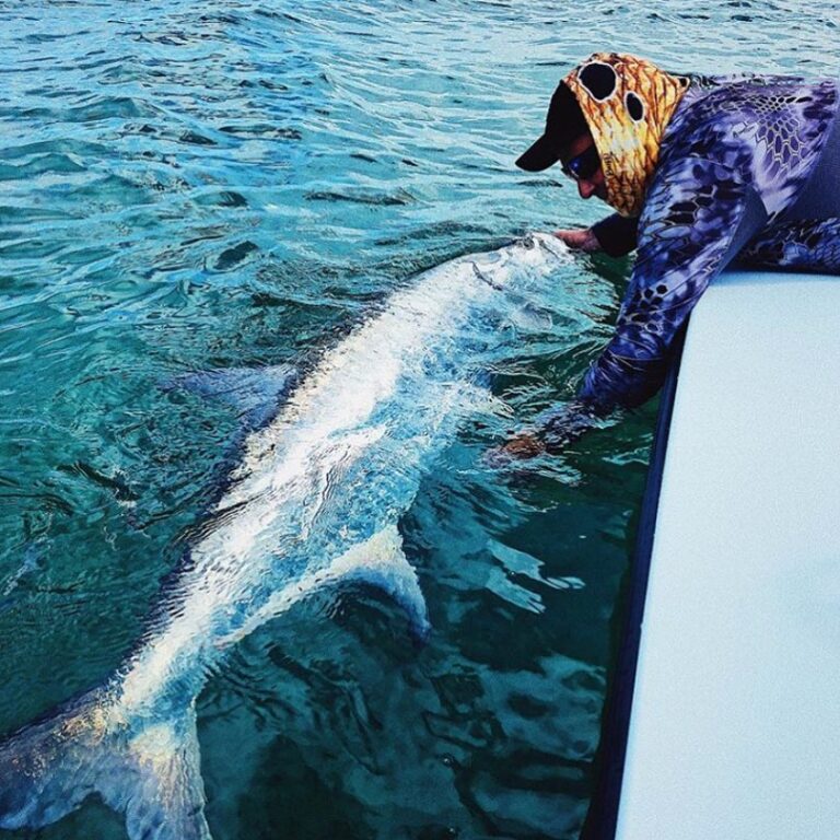 @jimdavishicks mother of all tarpon!!