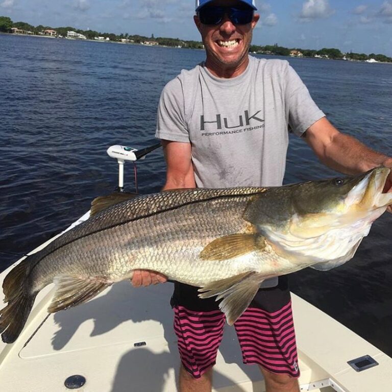 @onemorebite72 know anyone that’s ever caught a fatter snook than this!?