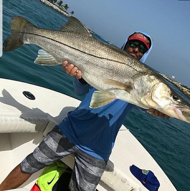 How many inches do you think this monster snook is??