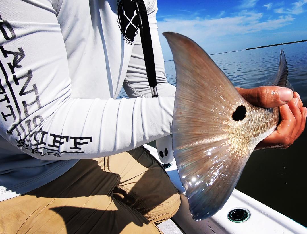 Catching and releasing these beautiful fish is truly a rewarding experience.