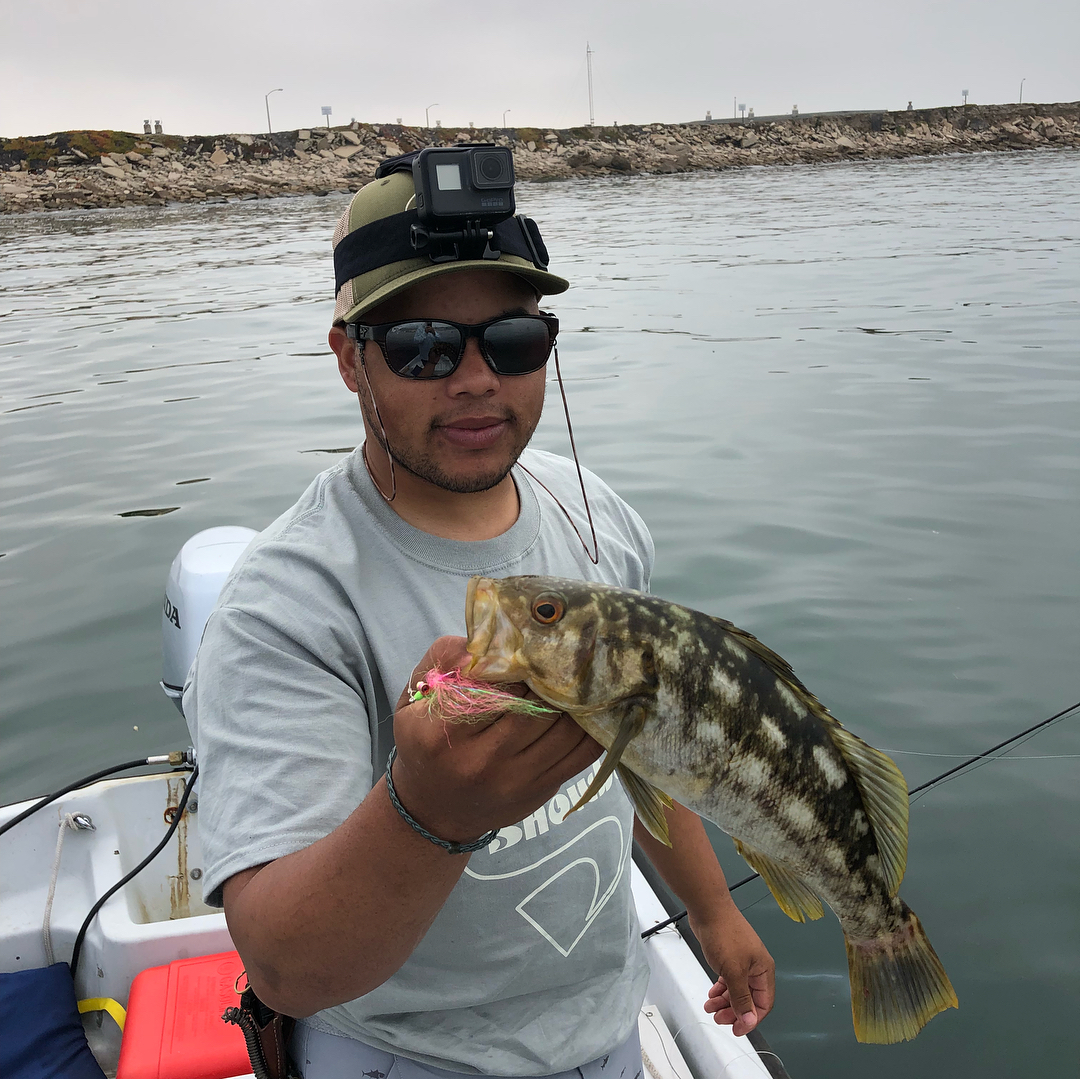 What I call the brook trout of the sea. Had a good day on the water with  and  h