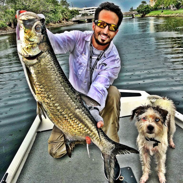 Tarpon are so much fun when they are this size!!! Like if you agree