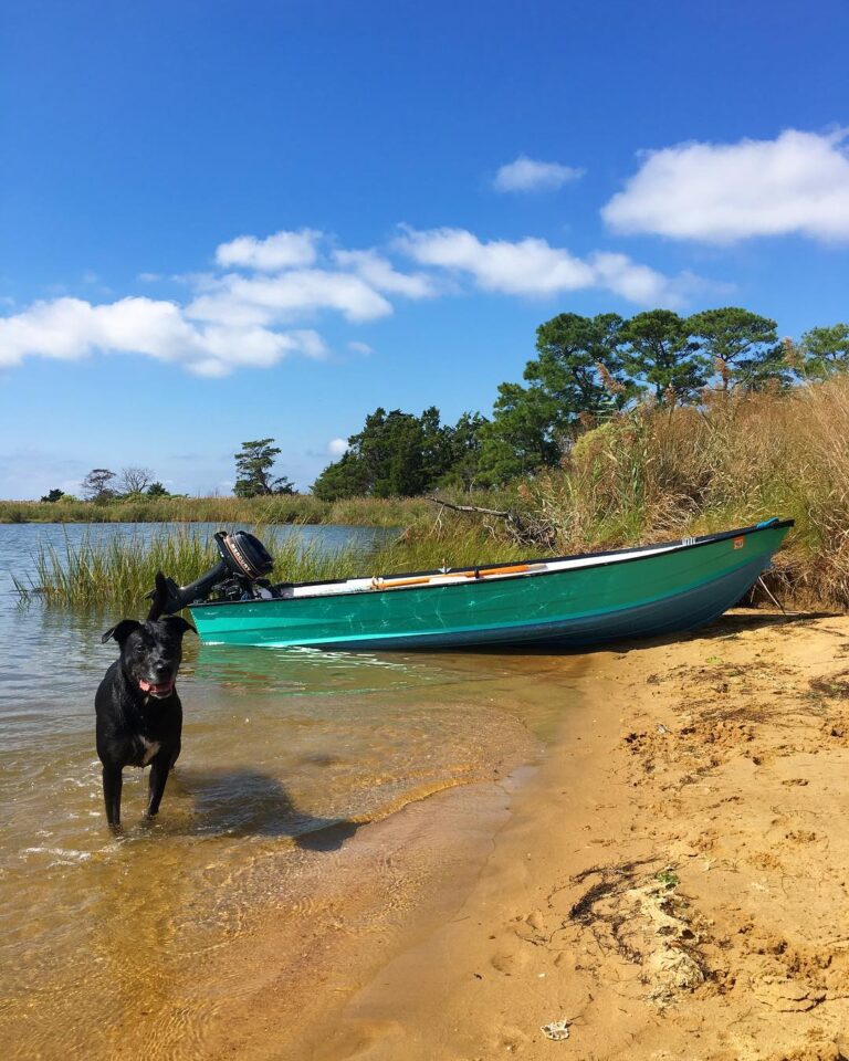 How do you like to boat? We like to explore little creeks and marshes with our f