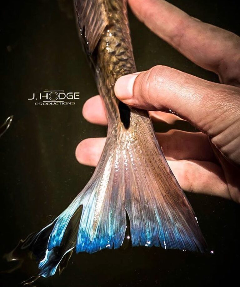 crazy redfish tail!
DM / tag us in your pics!
Don’t forget to use  on your post