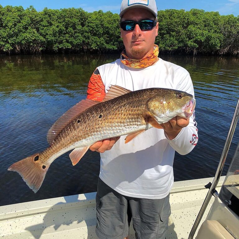 Redfish for dinner. Perfect eating size