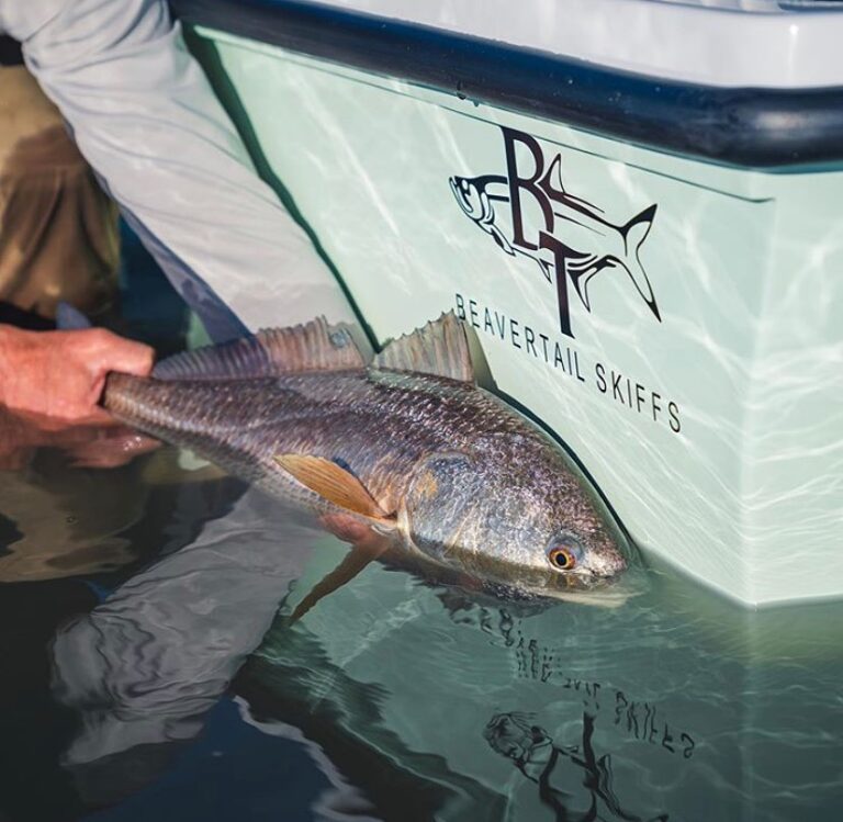 @capt.cwmiller fun skiff, and even more fun fish to catch!