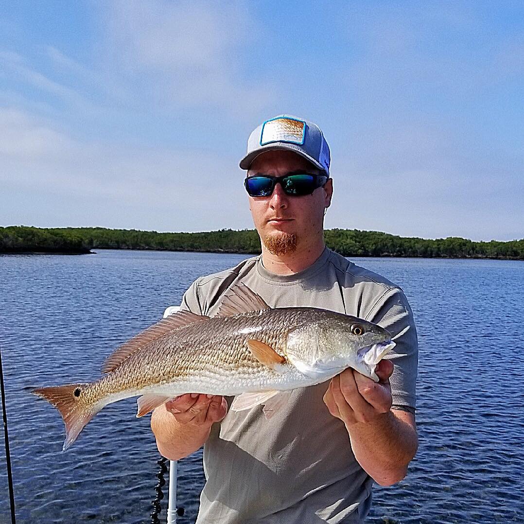 Spotted this red tailing today in about 8 inches of water he decided to have his