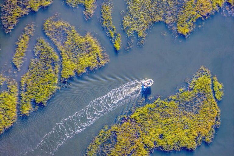 March Madness vs. MARSH Madness!  When you decide to spend the day boating on th