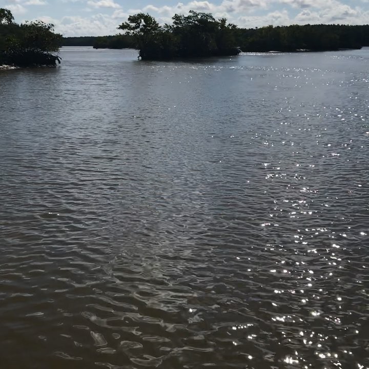 Love me some snook action! Small clip of me landing one of the keepers that day!