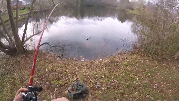 Little guy, but my first bedded bass of 2018! And i got to link up with