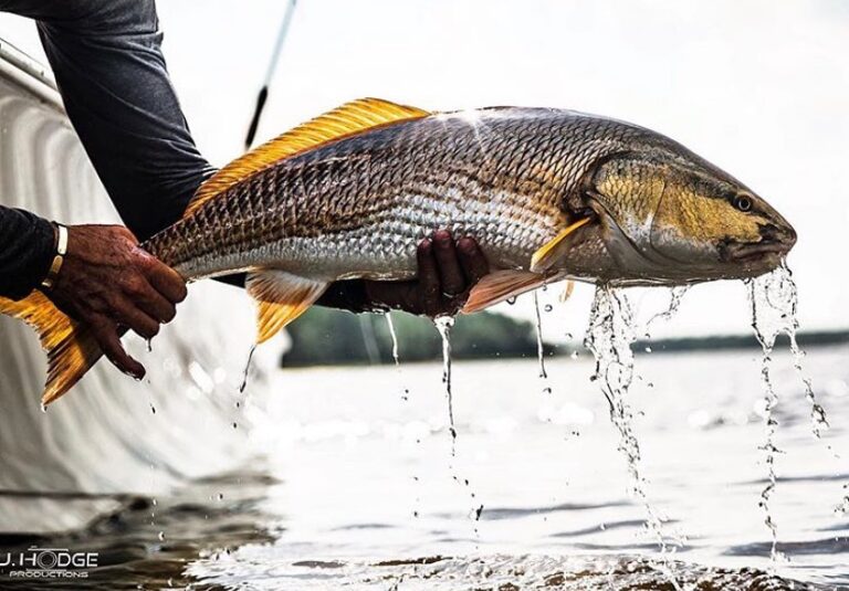 @j.hodgeproductions new trend… pinkies out when you’re holding a redfish!