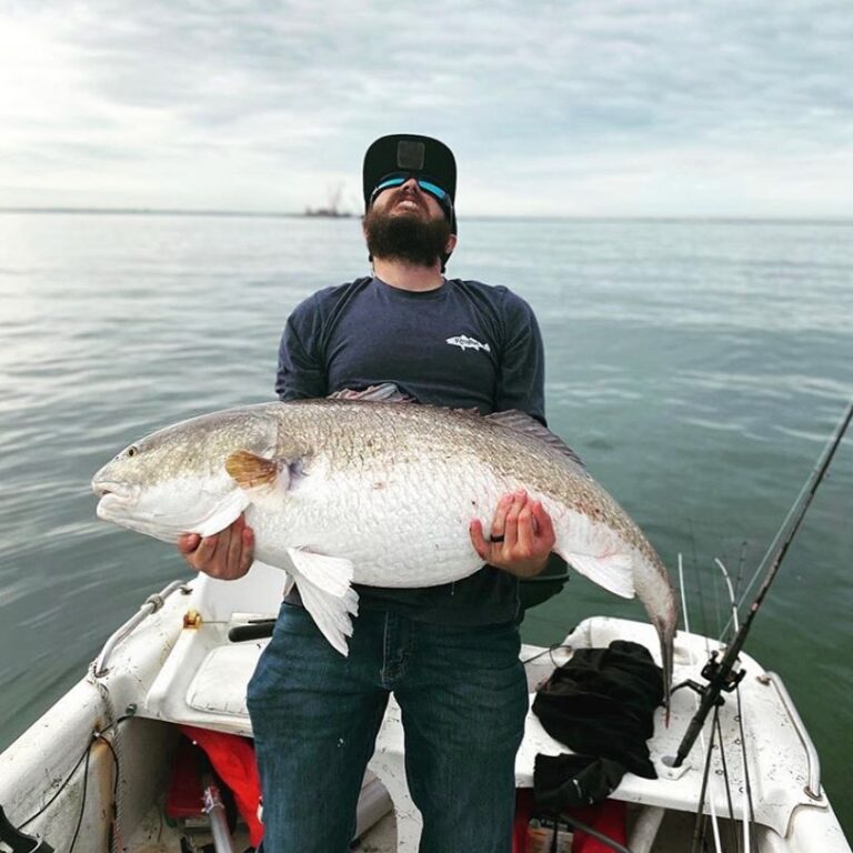 @fishordie4life look at the belly on this redfish!!  
DM / tag us in your pics!
…