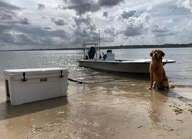 @isaacfloyd_ got his guard dog for the Mitzi! Do your pets love a boat ride?

D…